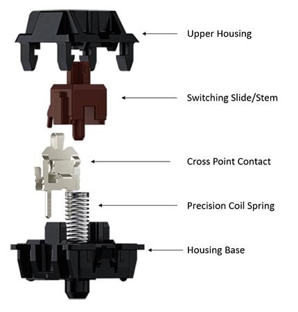 Exploded view of a mechanical switch showing the upper housing, stem, contact, coil spring, and housing base.