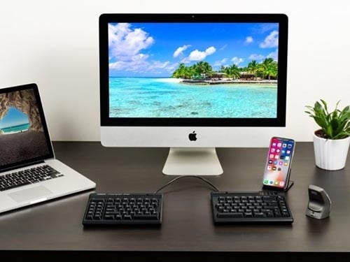Modern desk setup with desktop and laptop, dual keyboards, smartphone, and a plant, enhancing productivity and style.