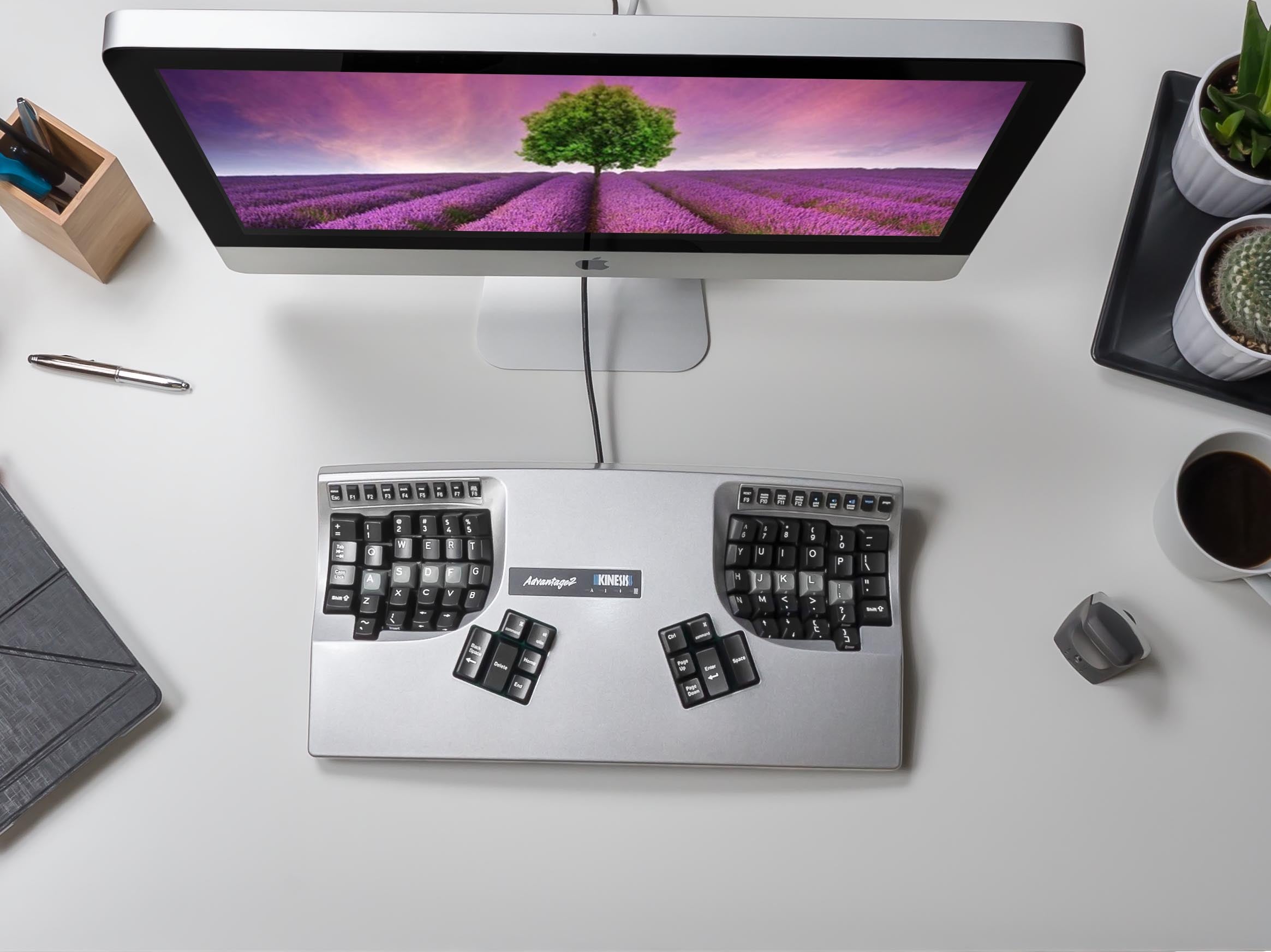 Ergonomic keyboard and monitor with lavender field wallpaper on a tidy desk with plants and accessories.