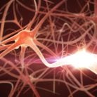 The Neural System & RSI